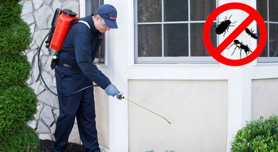 Akçakoca Bit İlaçlama böcek ilaçlama ve haşere kontrolü — ilaclama-tr.com
